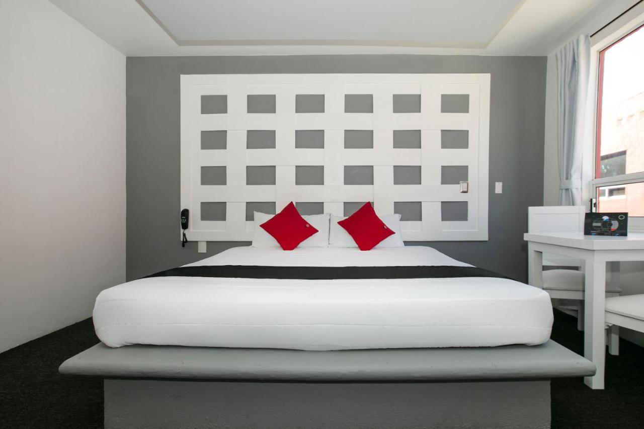 Capital O Hotel Euro Confort Pachuca Esterno foto
